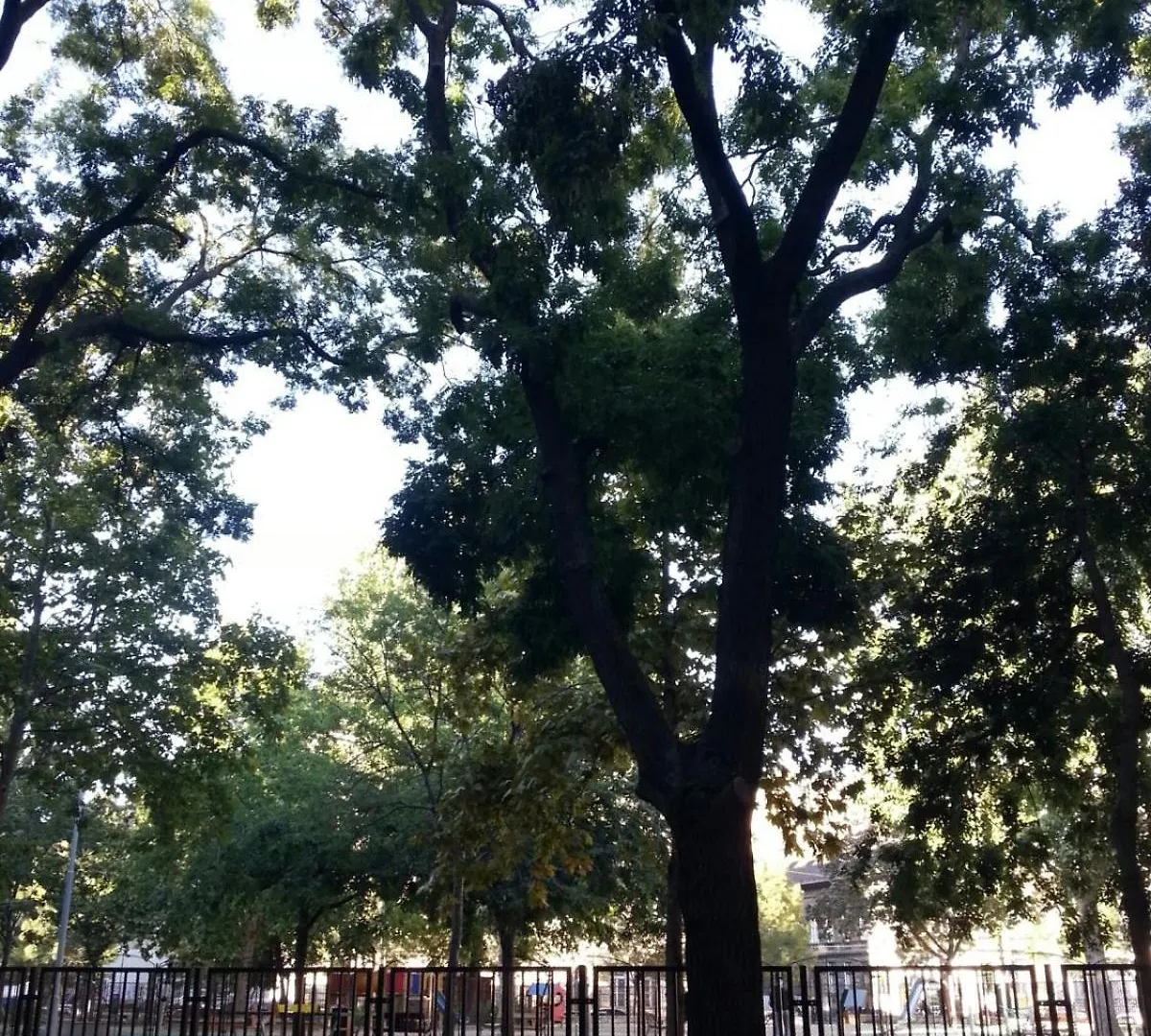 Sunny City Apartment Facing The Park Budapest
